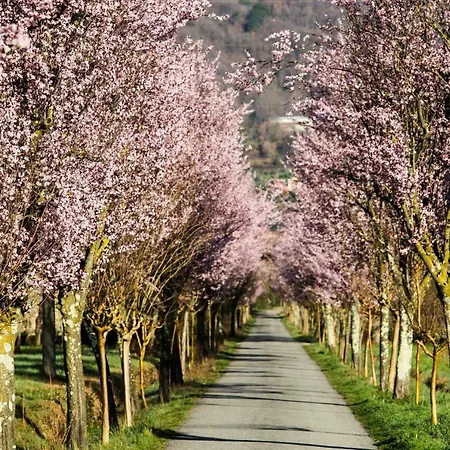 Tatil Evi Casa Della Colora *